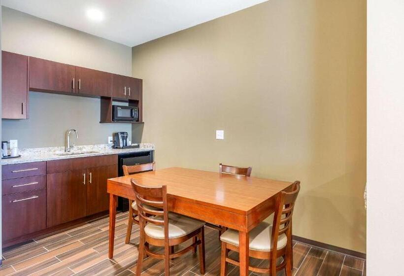 فندق Comfort Suites Burlington Near I 5