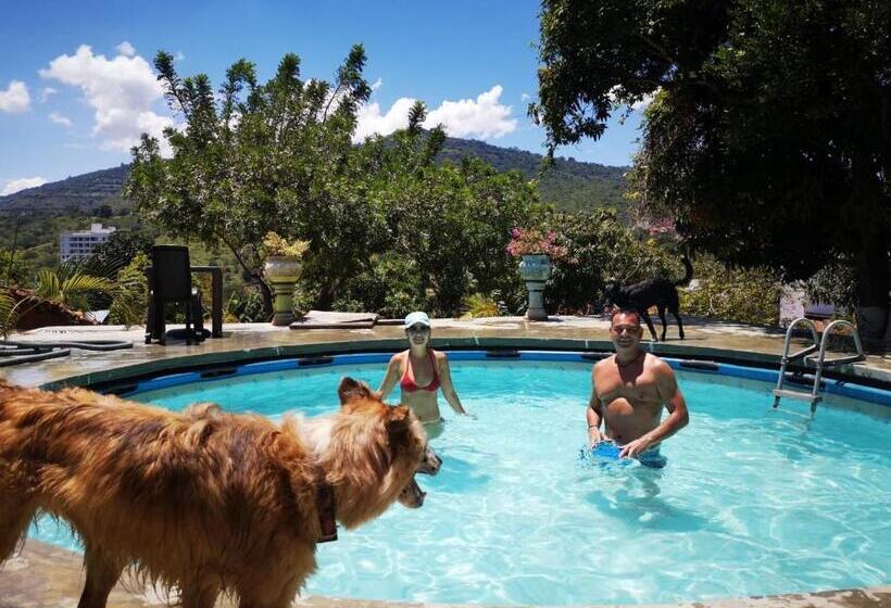 پانسیون Green Door San Gil