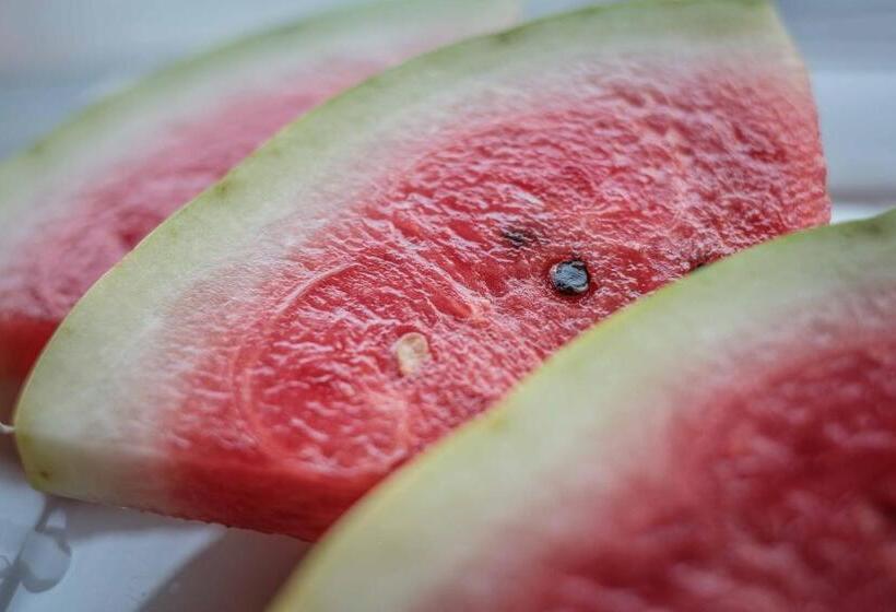 ベッドアンドブレックファースト Saint Antonio Maroni