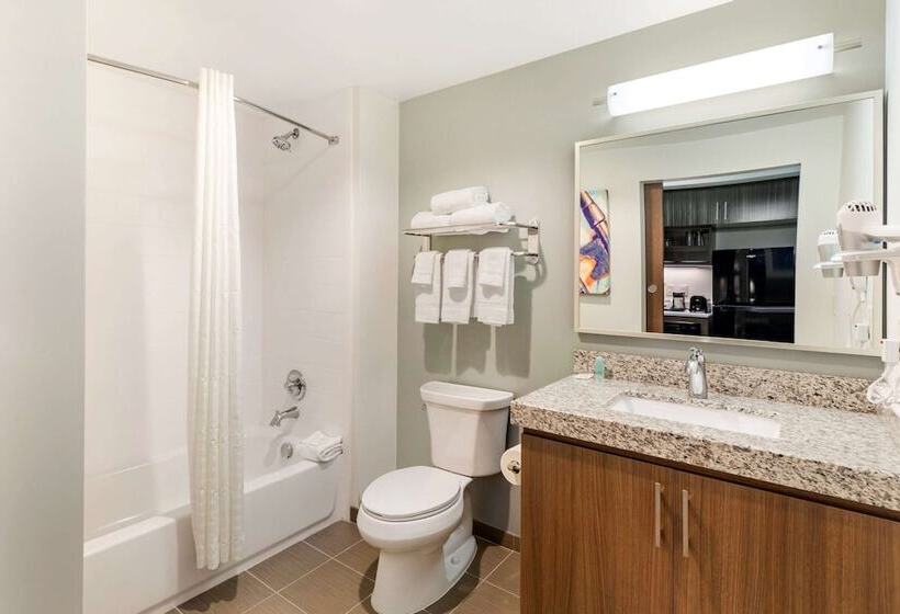 בית מלון כפרי Mainstay Suites Lancaster Dallas South