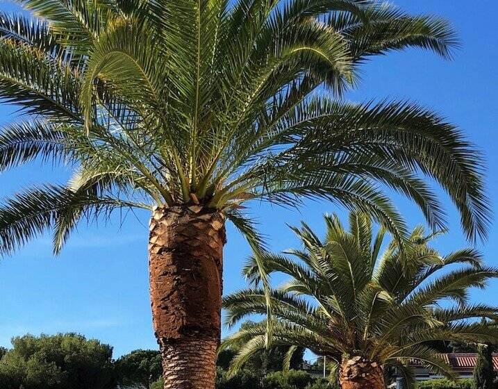 پانسیون The Address Cassis