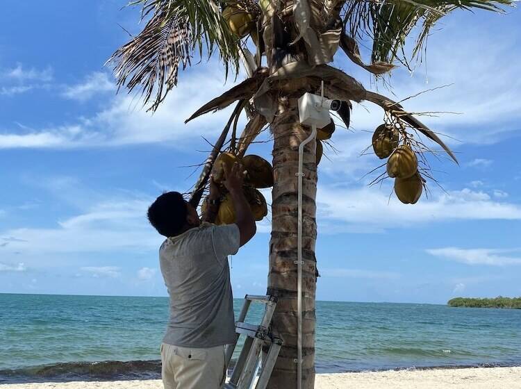 منتجع Ocean Breeze