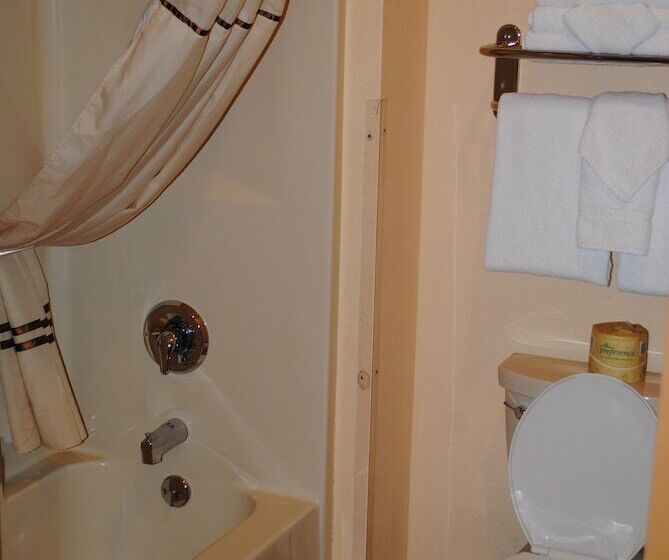 استراحتگاه Wisconsin Dells Area Condominiums