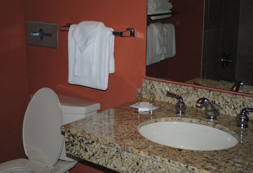 استراحتگاه Wisconsin Dells Area Condominiums