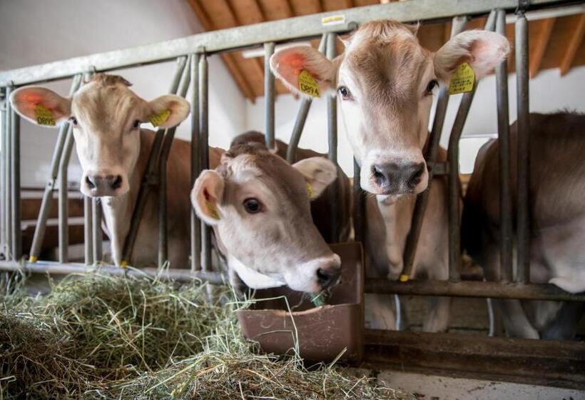 فندق Agriturismo Malga Piè