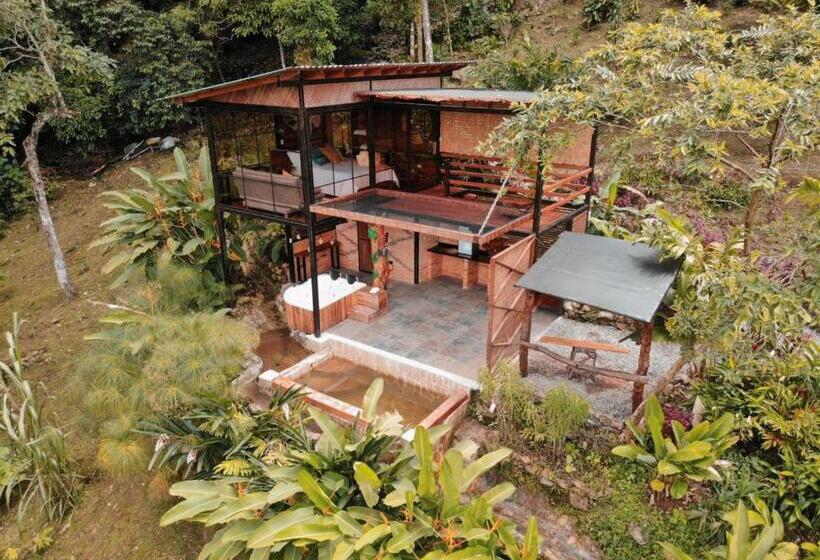 پانسیون Waira Eco Lodge