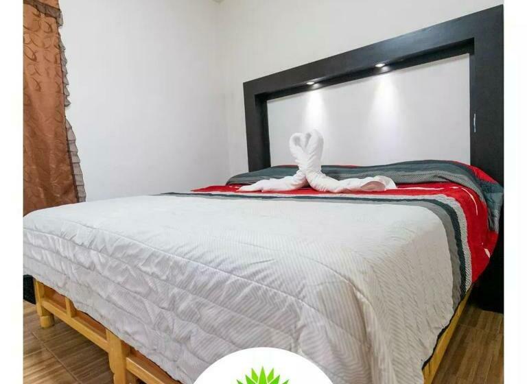 فندق Maguey Blanco