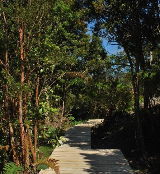 פנסיון Chucao Bosque Y Cabañas