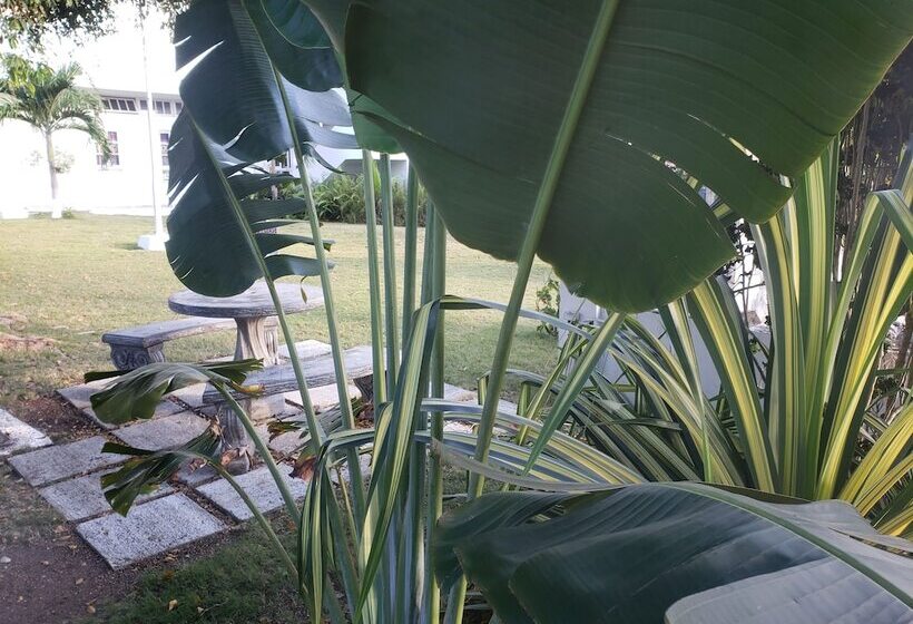 تختخواب و صبحانه Sea Shell Palms, Ocho Rios