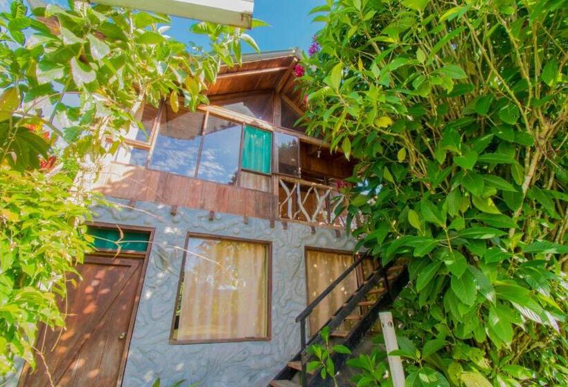 هتل Hostería Los Cedros De Mindo