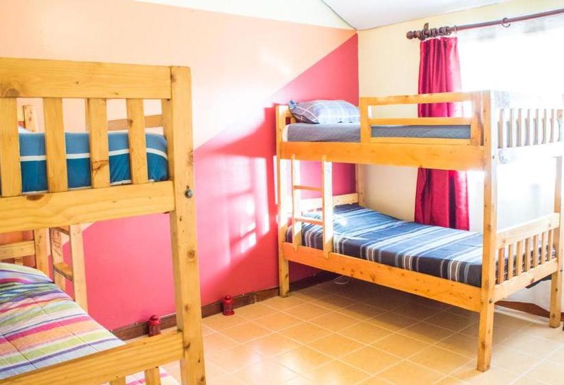 هاستل Naisula Place