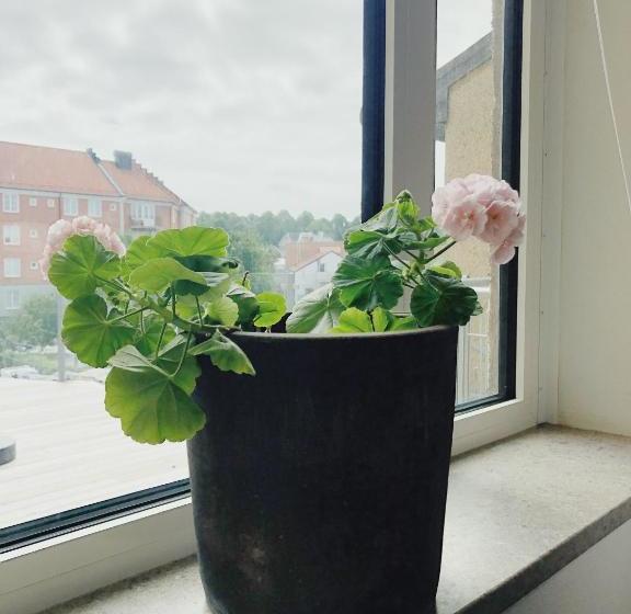 Söderväg Hostel