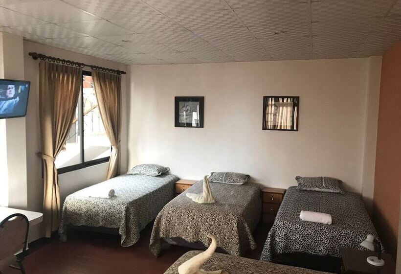 هاستل Cittadella Hostal