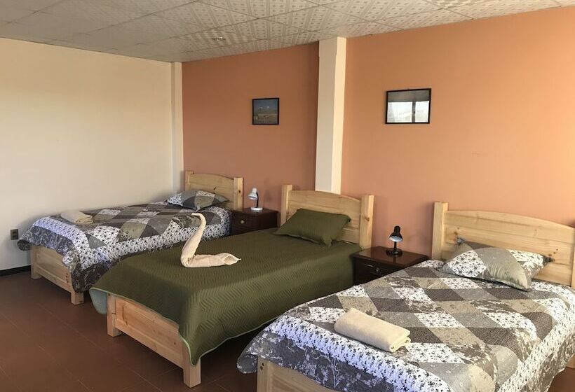 هاستل Cittadella Hostal