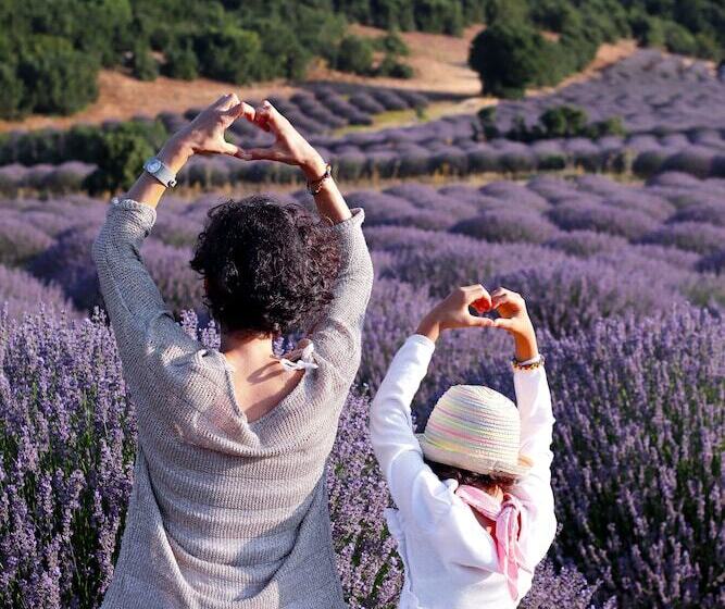 בית מלון כפרי Aliya Konak   Köy Evi Ve Lezzetleri