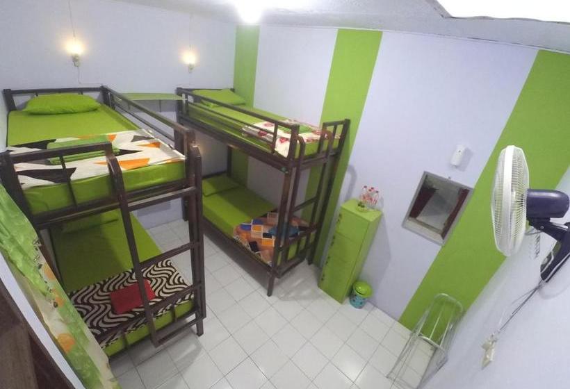 تختخواب و صبحانه Quinn Homestay
