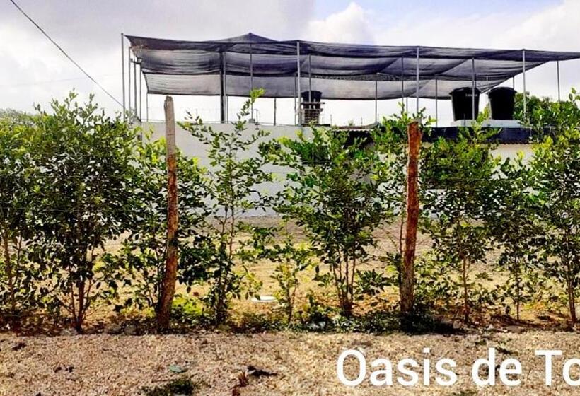 پانسیون Oasis De Tolú
