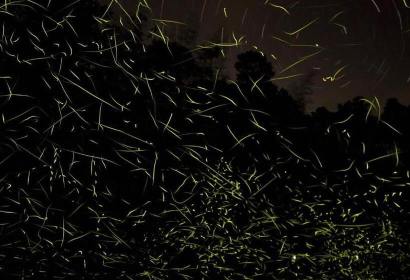 بنسيون Seiryukyou