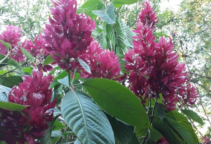 هاستل Hostal Villa Cecilia