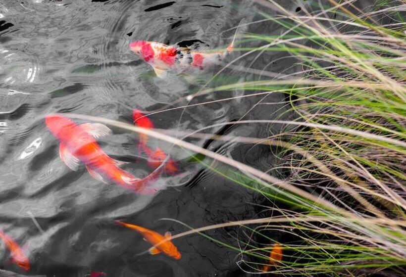 Nai Ya Hotel  Sha Extra Plus