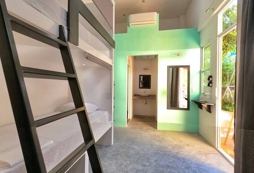 پانسیون Paziflora Hostel