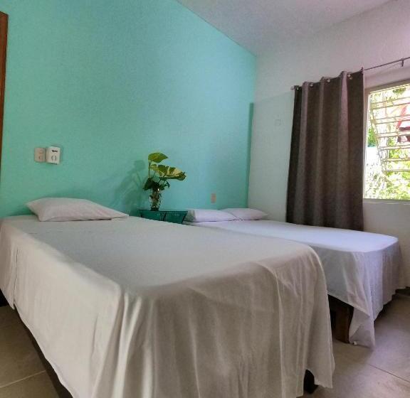 پانسیون Paziflora Hostel