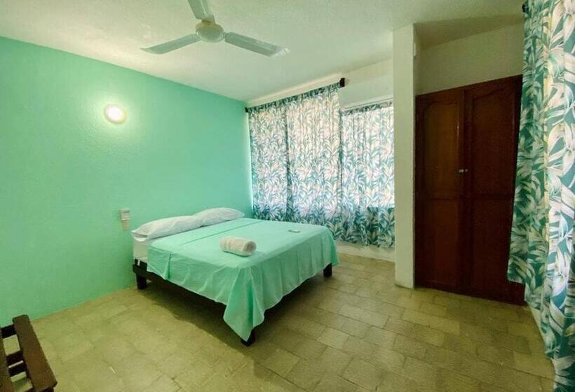 پانسیون Paziflora Hostel
