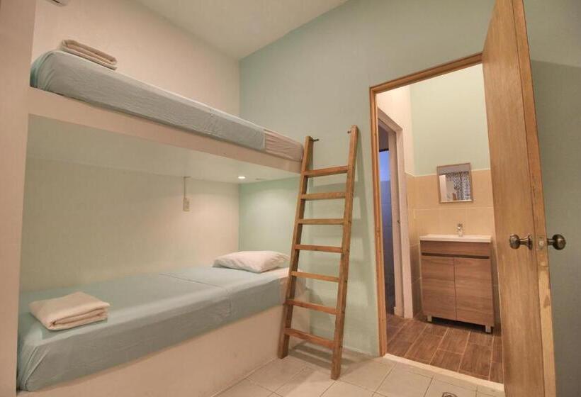 پانسیون Paziflora Hostel