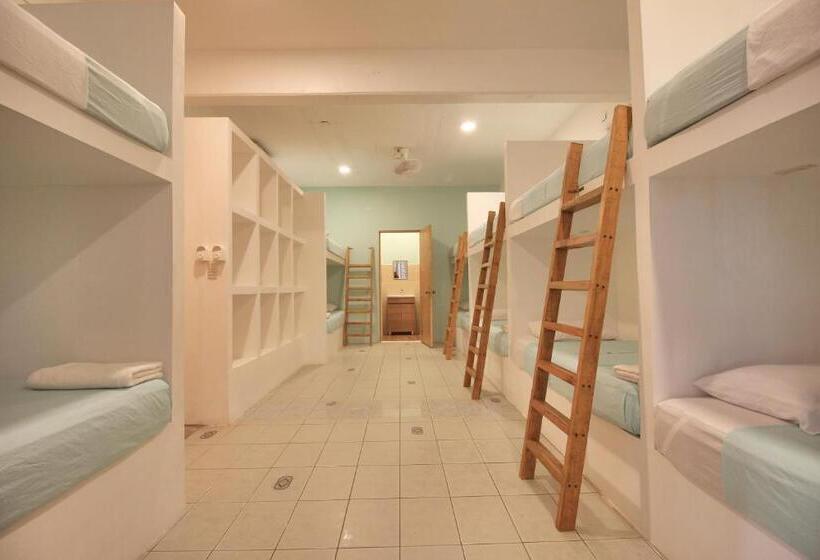 پانسیون Paziflora Hostel