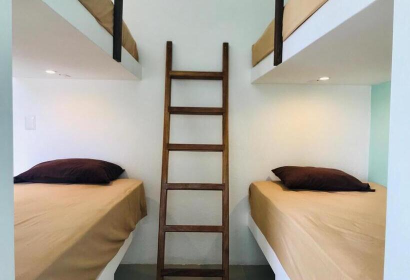 پانسیون Paziflora Hostel