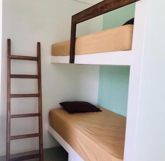 پانسیون Paziflora Hostel