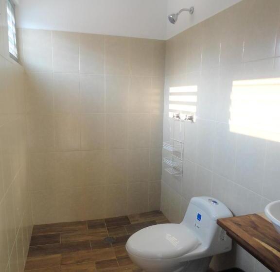 پانسیون Paziflora Hostel
