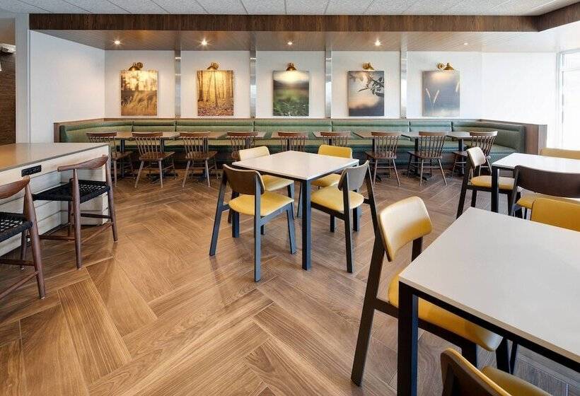 Отель Fairfield Inn & Suites By Marriott Tampa Wesley Chapel