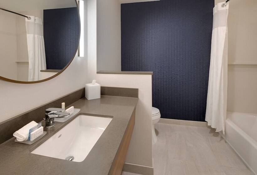 Отель Fairfield Inn & Suites By Marriott Tampa Wesley Chapel