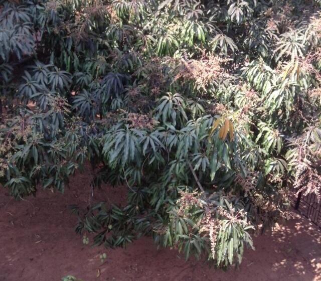 Pensão J & B Holiday Homes