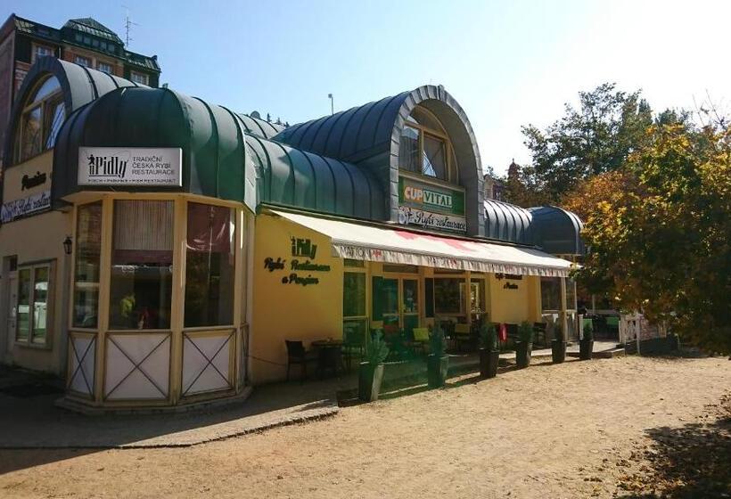 هاستل Penzion U Pidly