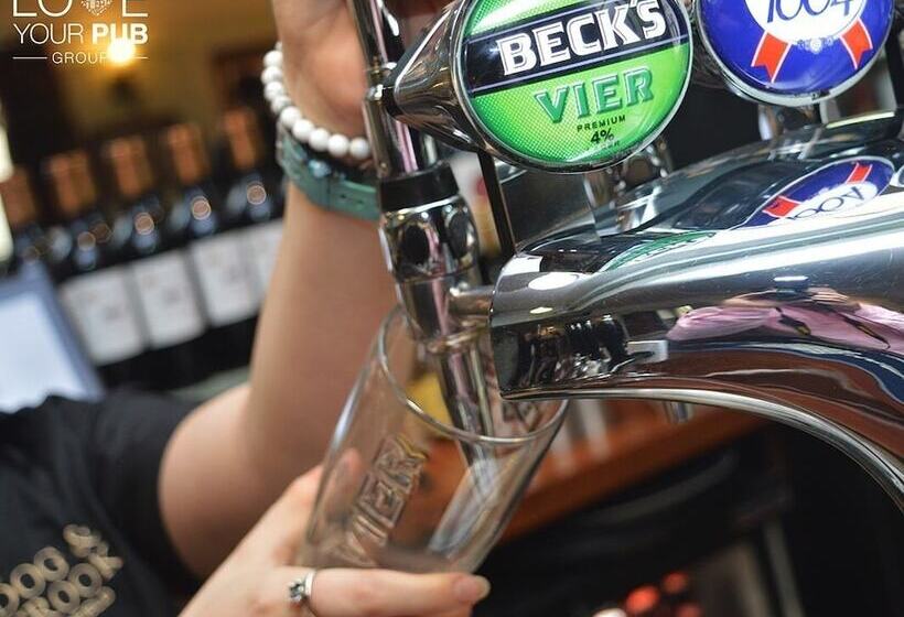 مبيت وإفطار Dog & Crook Braishfield