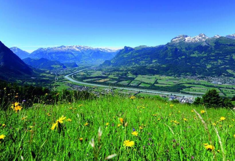 Отель Vaduzerhof By B Smart