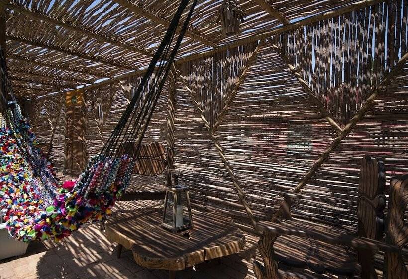 ペンション Pousada Barra Del Mundo