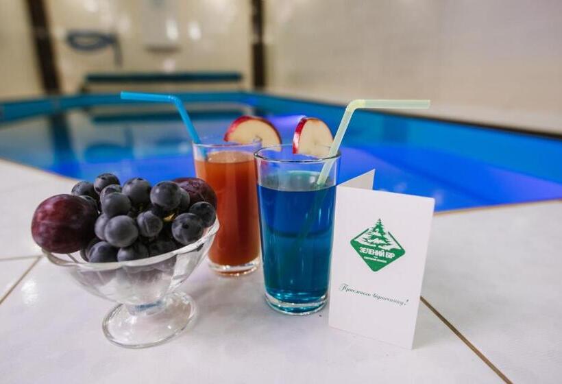 酒店 Zelenyy Bir