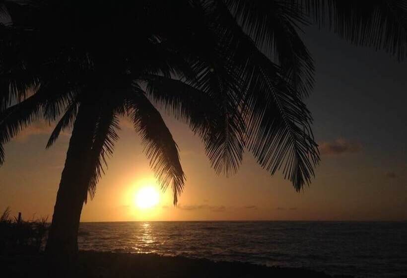 Baoba Breeze Bed & Breakfast  Beachfront Paradise