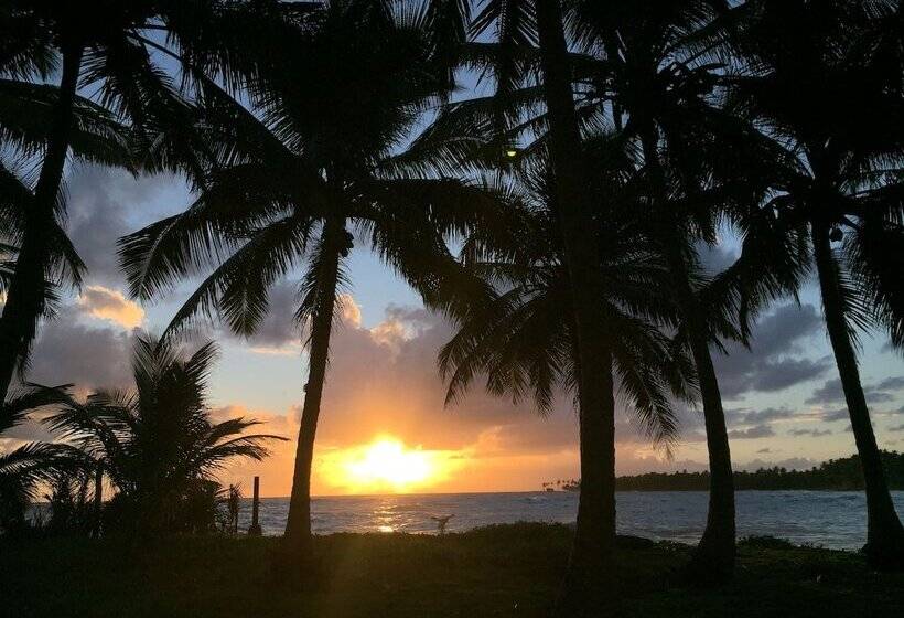 Baoba Breeze Bed & Breakfast  Beachfront Paradise