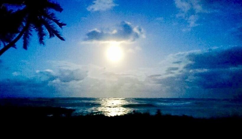 Baoba Breeze Bed & Breakfast  Beachfront Paradise