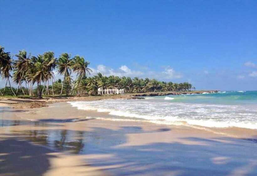 Baoba Breeze Bed & Breakfast  Beachfront Paradise