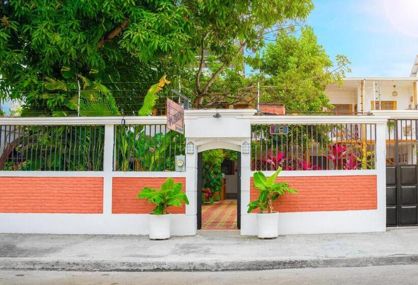 هاستل Boutique Platanal