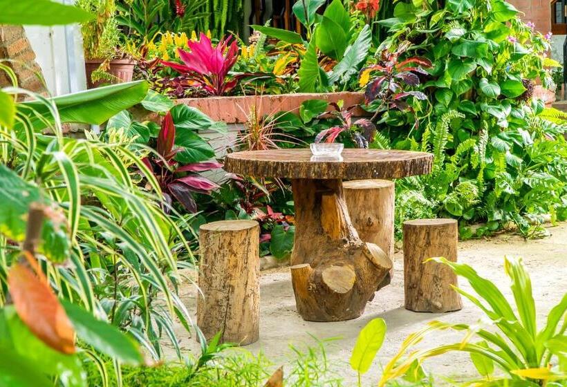 هاستل Boutique Platanal