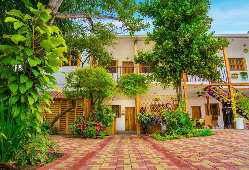 هاستل Boutique Platanal