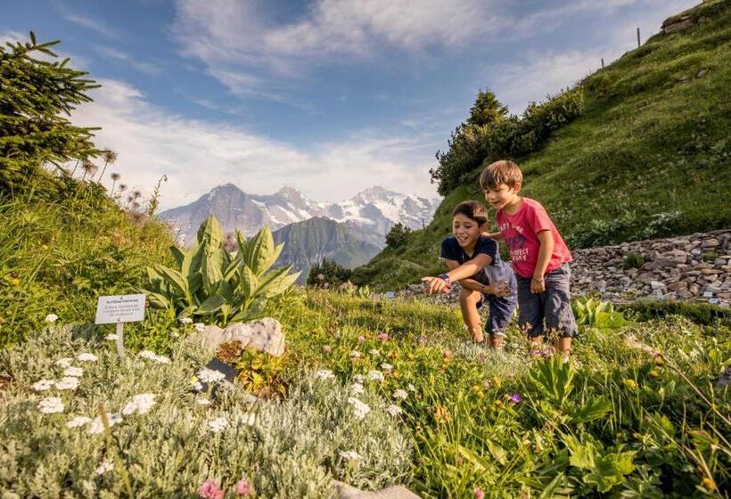 Berghotel Schynige Platte