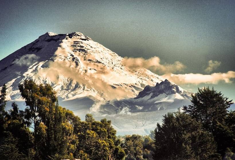 پانسیون Hostal Dulce Hogar