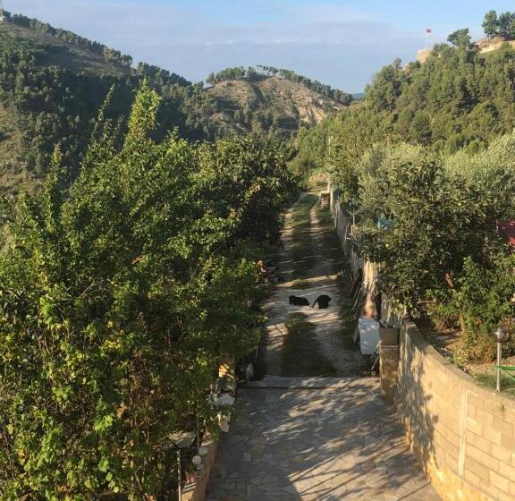 تختخواب و صبحانه Guest House Xhuljon